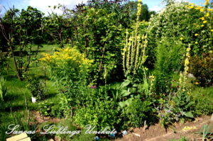 Sanoas-Lieblings-Unikate Gartengestaltung